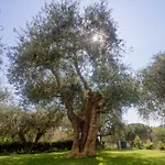 Sugli Allori بيت للعطل *