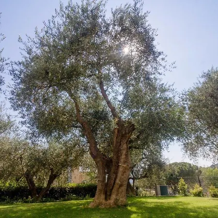 Sugli Allori Casa vacanze *