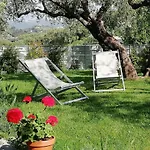 Sugli Allori