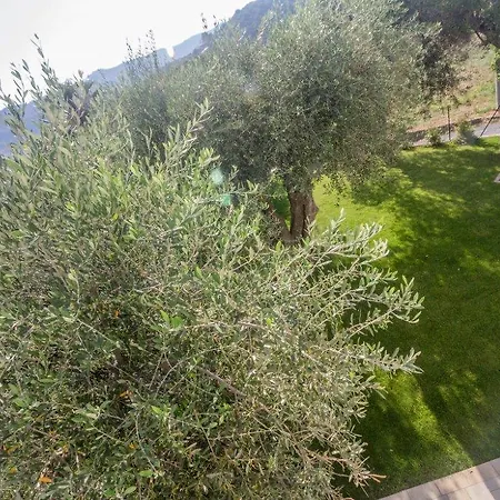 Sugli Allori Casa vacanze Diano Marina